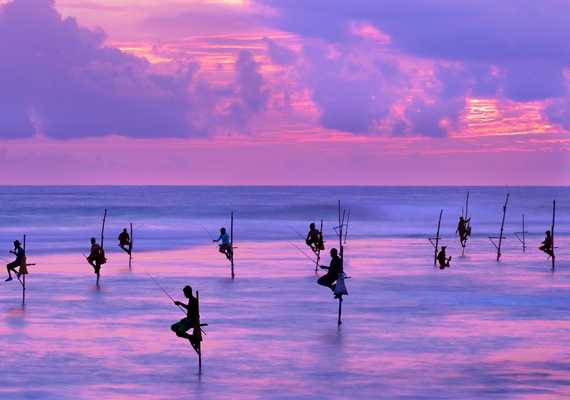 Day 8: Stilt Fishing Village Mirissa  