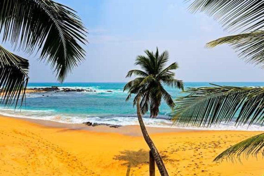 Must-Visit Destinations in Sri Lanka